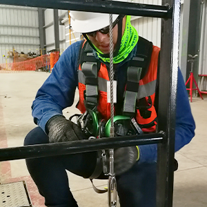 Client Describes <br> Project